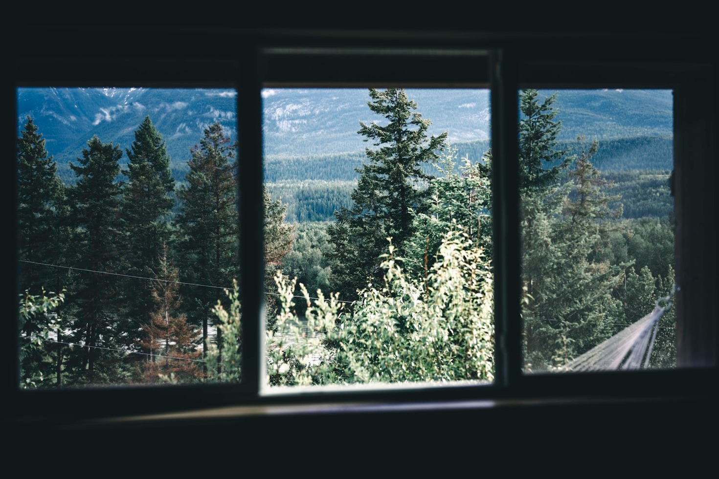 How Wilpa Pioneers Forest Carbon Monitoring Globally